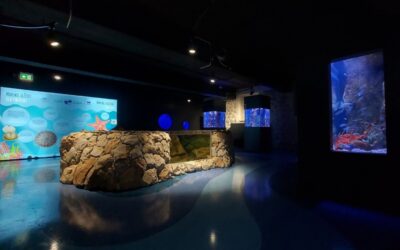 Boka Aquarium is Open Again