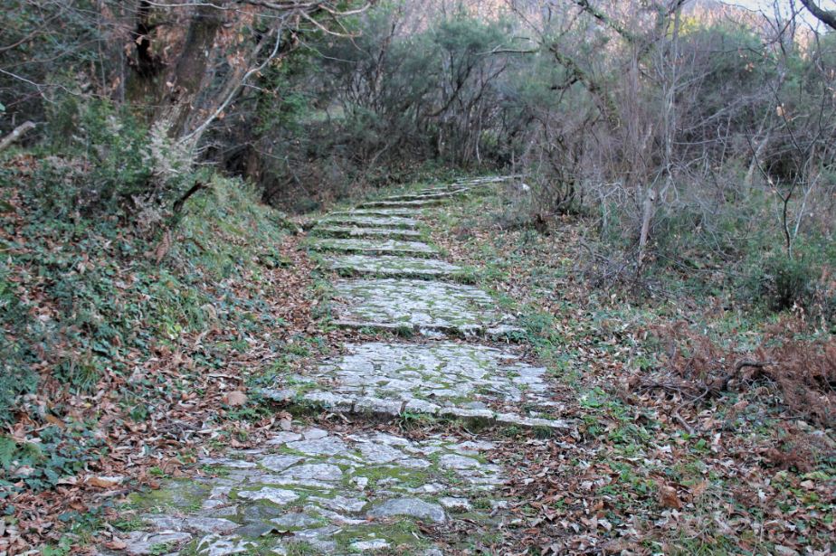 Jasna Gajevic - Upper Stoliv 1