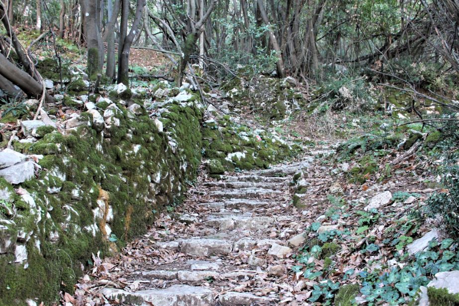 Jasna Gajevic - Upper Stoliv 2