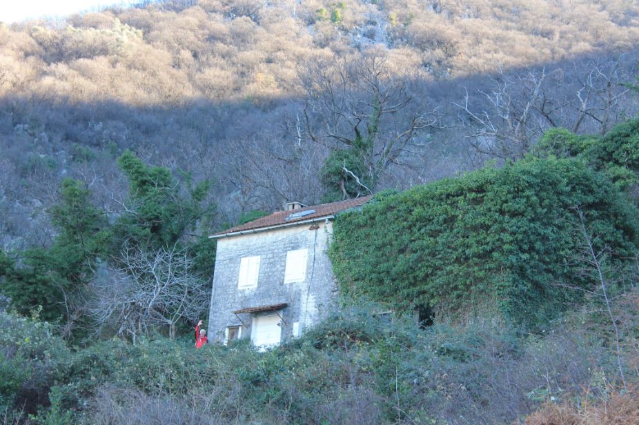 Jasna Gajevic - Upper Stoliv 4