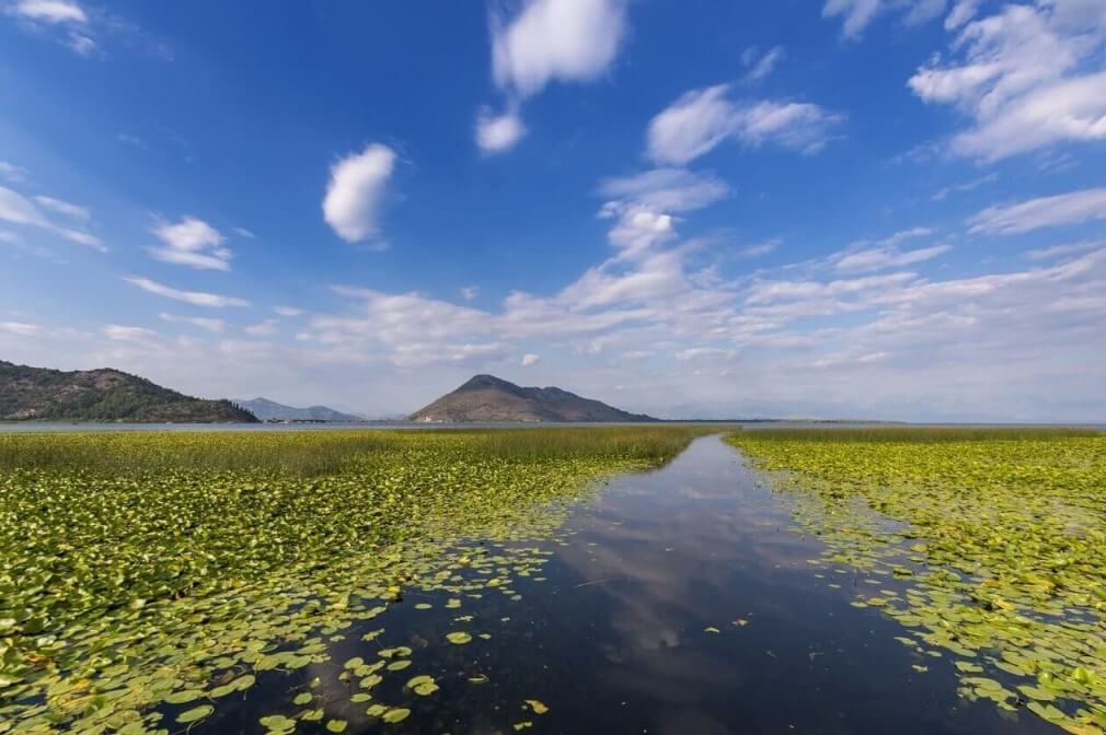 skadar lake national park